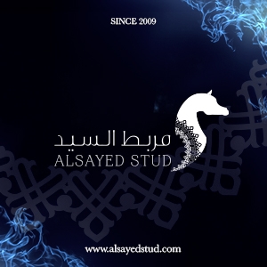 Alsayed-AE-Banner-300x300-1